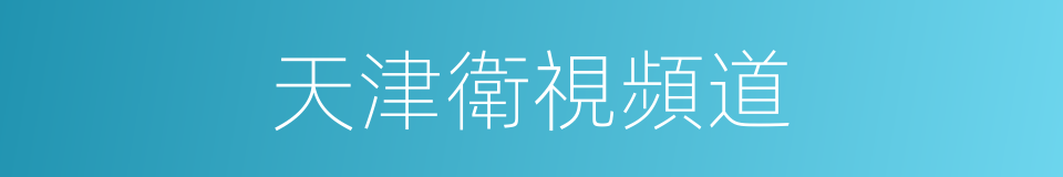 天津衛視頻道的同義詞