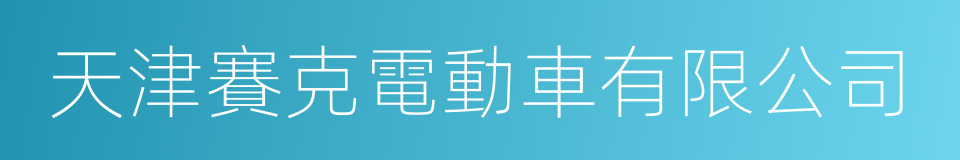 天津賽克電動車有限公司的同義詞