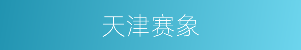 天津赛象的同义词