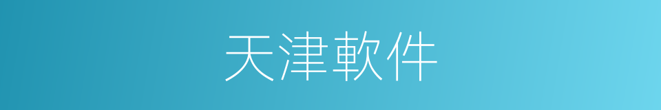 天津軟件的同義詞