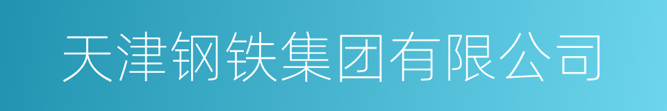 天津钢铁集团有限公司的同义词