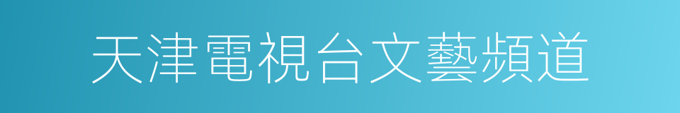 天津電視台文藝頻道的同義詞