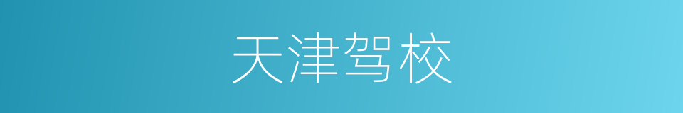 天津驾校的同义词