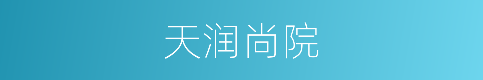 天润尚院的同义词