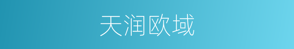 天润欧域的同义词