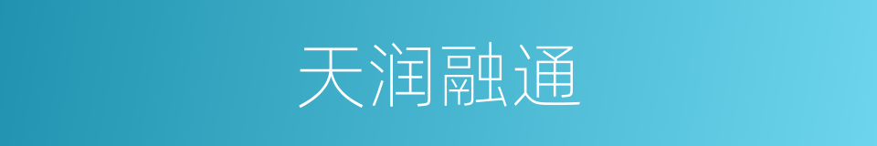 天润融通的同义词