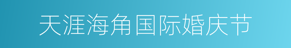 天涯海角国际婚庆节的同义词