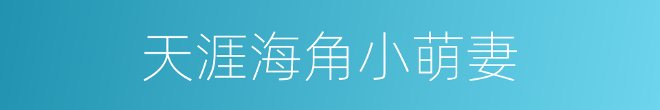 天涯海角小萌妻的同义词