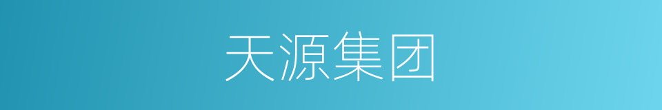 天源集团的同义词
