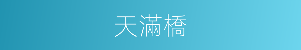 天滿橋的同義詞