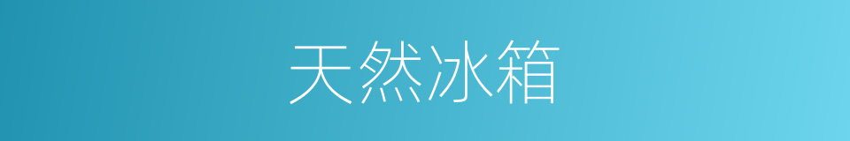 天然冰箱的同义词