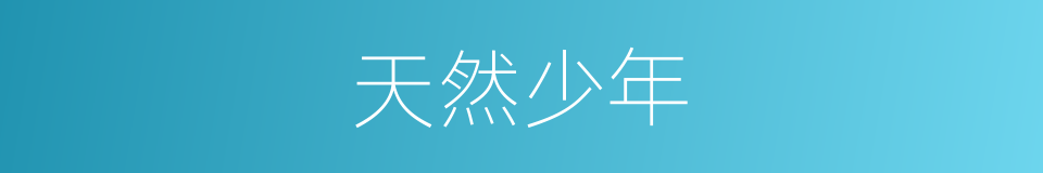 天然少年的同义词