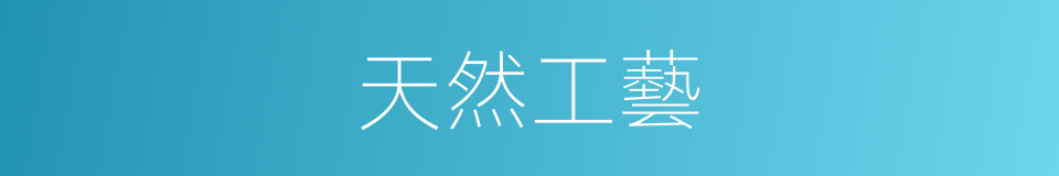 天然工藝的同義詞