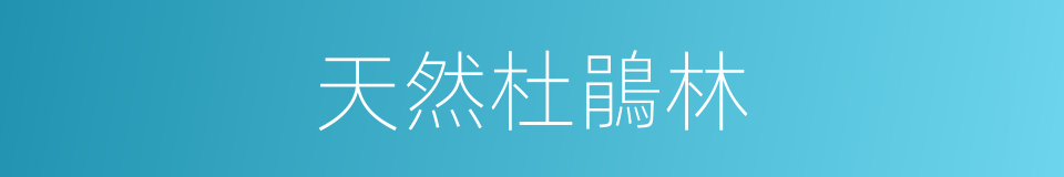 天然杜鵑林的同義詞