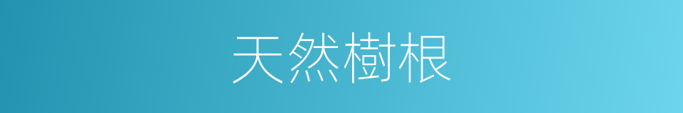 天然樹根的同義詞