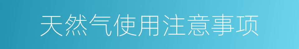 天然气使用注意事项的同义词