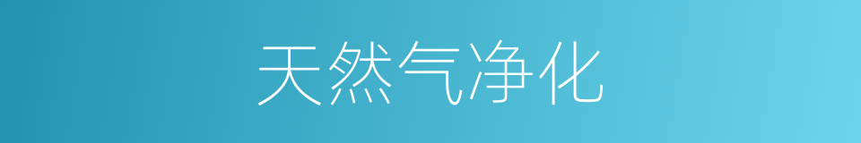 天然气净化的同义词