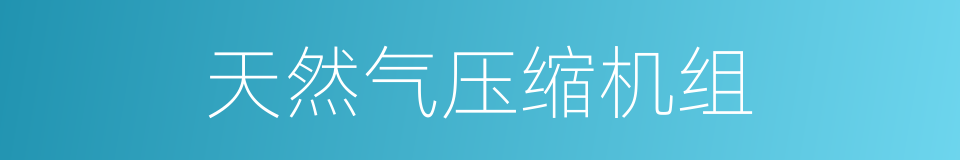 天然气压缩机组的同义词