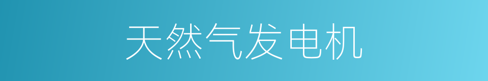 天然气发电机的同义词