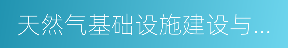 天然气基础设施建设与运营管理办法的同义词