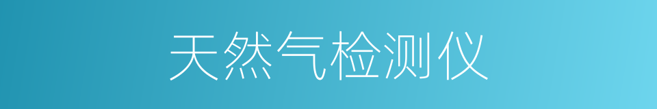天然气检测仪的同义词