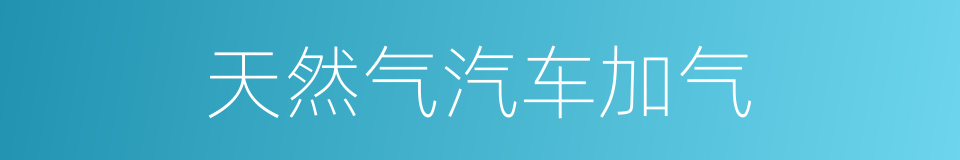 天然气汽车加气的同义词