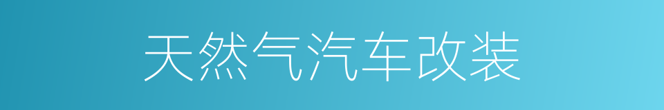 天然气汽车改装的同义词