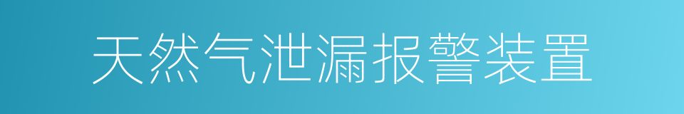 天然气泄漏报警装置的同义词