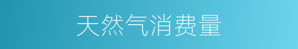 天然气消费量的同义词