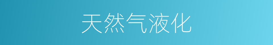 天然气液化的同义词