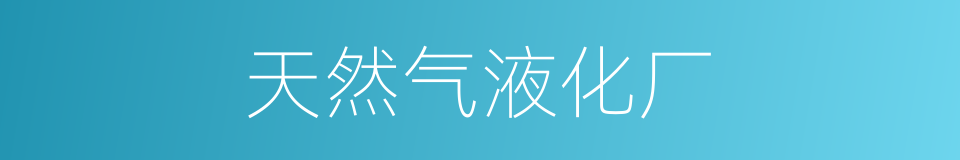 天然气液化厂的同义词