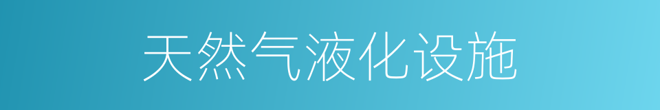 天然气液化设施的同义词