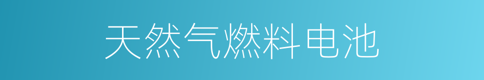 天然气燃料电池的同义词