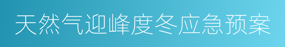 天然气迎峰度冬应急预案的同义词