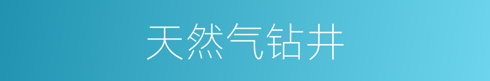 天然气钻井的同义词