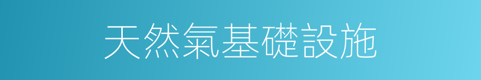 天然氣基礎設施的同義詞