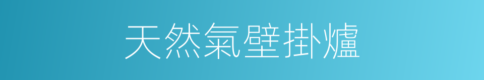 天然氣壁掛爐的同義詞