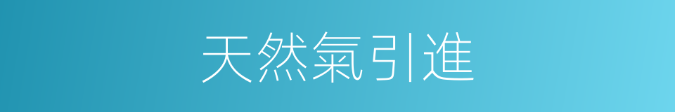 天然氣引進的同義詞