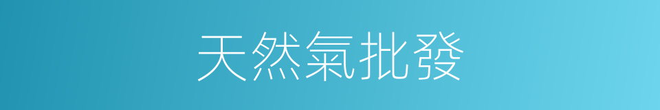 天然氣批發的同義詞