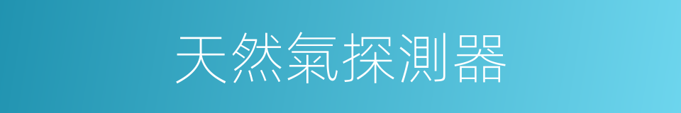 天然氣探測器的同義詞