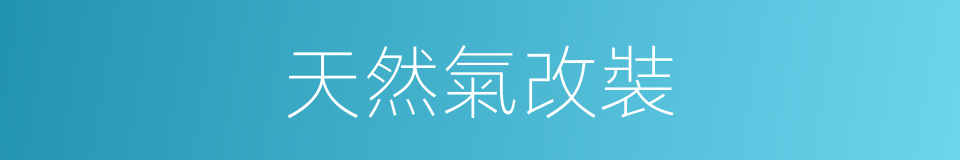 天然氣改裝的同義詞