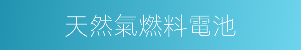 天然氣燃料電池的同義詞