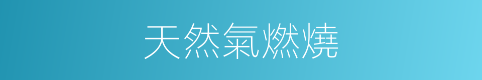 天然氣燃燒的同義詞