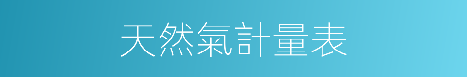 天然氣計量表的同義詞