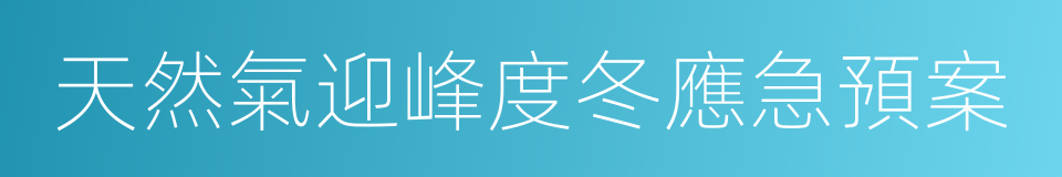 天然氣迎峰度冬應急預案的同義詞