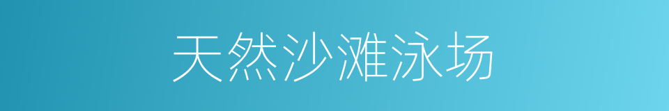 天然沙滩泳场的同义词