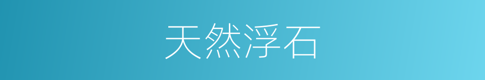 天然浮石的同义词