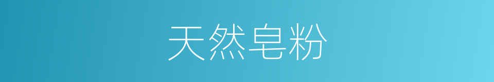 天然皂粉的同义词