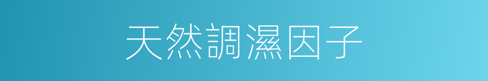 天然調濕因子的同義詞