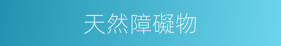 天然障礙物的同義詞